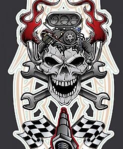 SPEED CRAZY STICKER