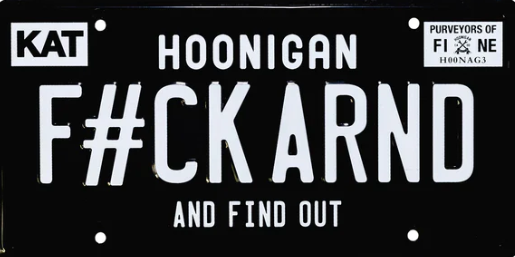 FIND OUT LICENSE PLATE